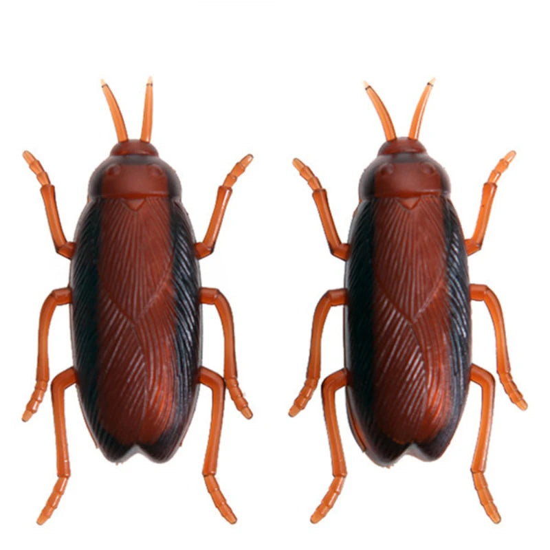 Cockroach Cat Toy – Interactive Training Bug Toy