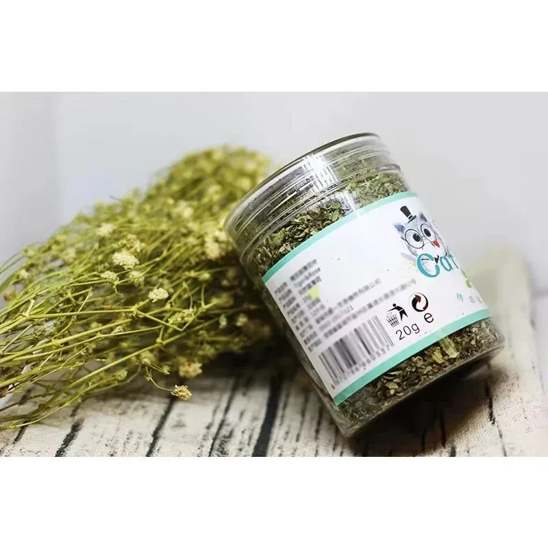 Organic Catnip – 100% Natural