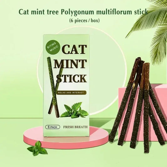 6pcs Natural Silvervine Cat Sticks – Chew, Play & Clean Teeth