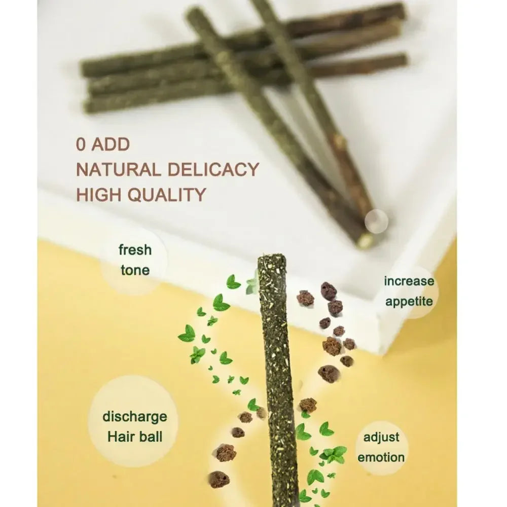 6pcs Natural Silvervine Cat Sticks – Chew, Play & Clean Teeth