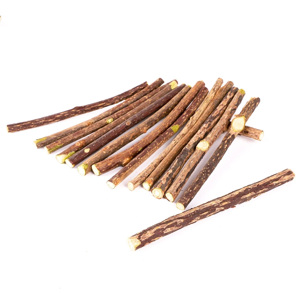 Natural Silvervine Sticks — Catnip Chew Toys for Healthy Teeth & Stress Relief